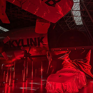 Soirée privatisée sous le Skylink