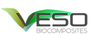 logo en cours VESO (201901014.png